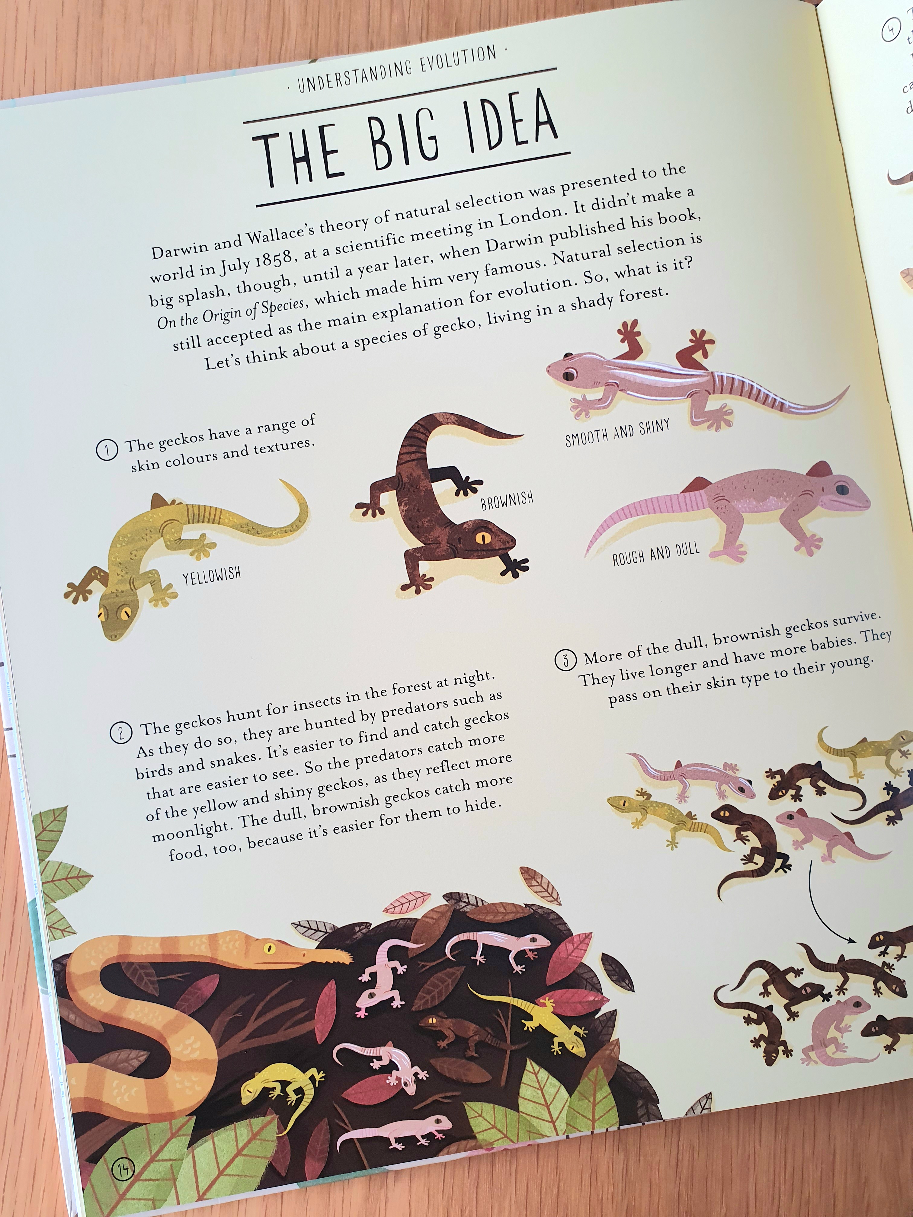 AMAZING EVOLUTION – BOOK REVIEW – A Different Way To Go